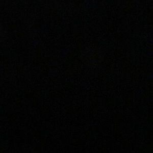 Meet your Posher, Fidelito